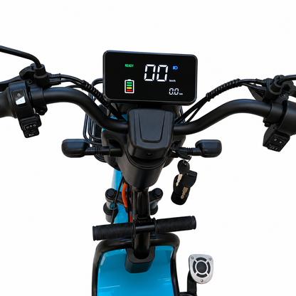 A13 Tri-Wheel E-Bike Digital Display and Controls