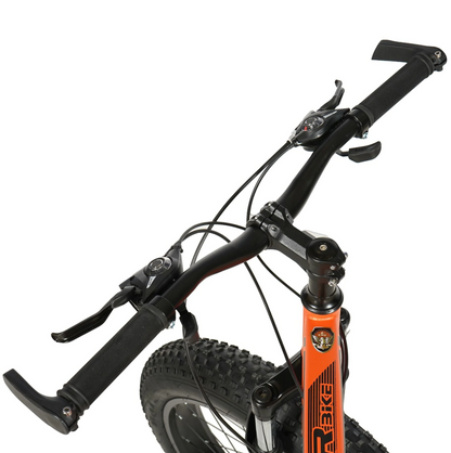 ASTER 26 Inches 21 Gear Steel Frame Mountain Bicycle - RockFlock