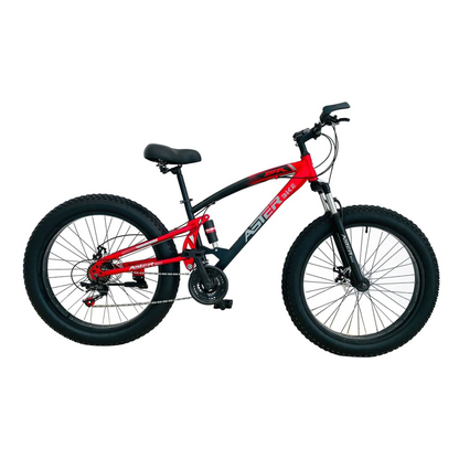 ASTER 26 Inches 21 Gear Steel Frame Mountain Bicycle - RockFlock