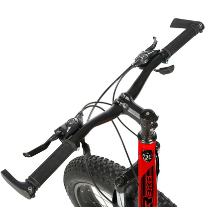 ASTER 26 Inches 21 Gear Steel Frame Mountain Bicycle - RockFlock