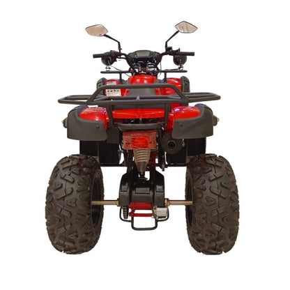 Rear view of 250cc petrol quad bike with wide off-road tires