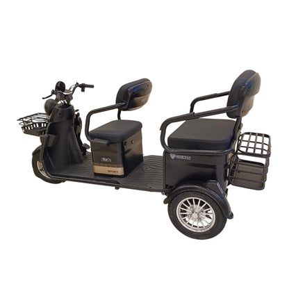T30 3 Wheel Passenger Electric Bike