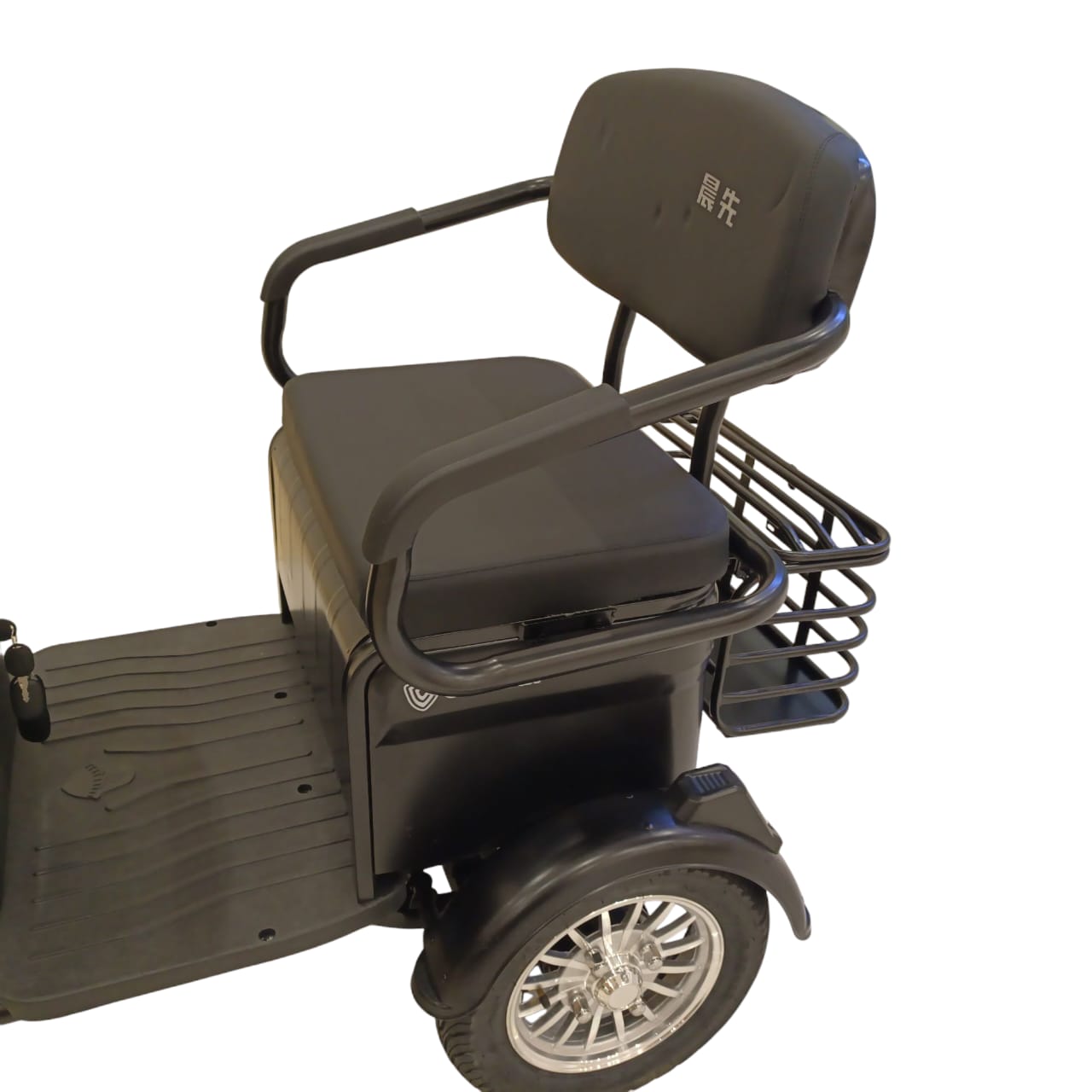 T30 Electric Trike Back Seat