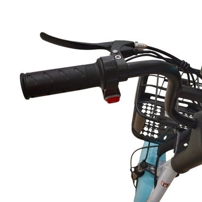 RockFlock W4 Two Seater Pedal Assisted E-Bike with Front Basket