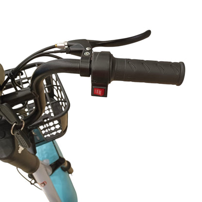 RockFlock W4 Two Seater Pedal Assisted E-Bike with Front Basket