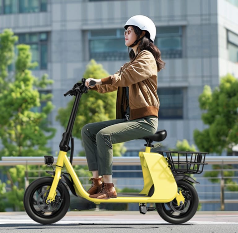 WindHorse C2 Foldable E-Scooter with Front & Rear Storage Baskets