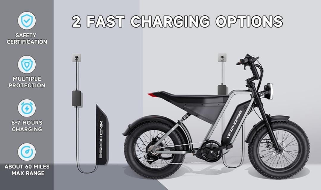 WindHorse D3 removable battery charging
