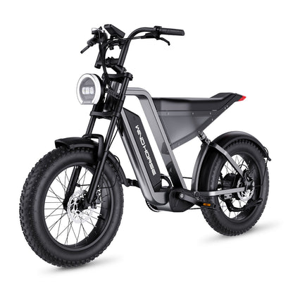 WindHorse D3 pedal assist electric bike front view