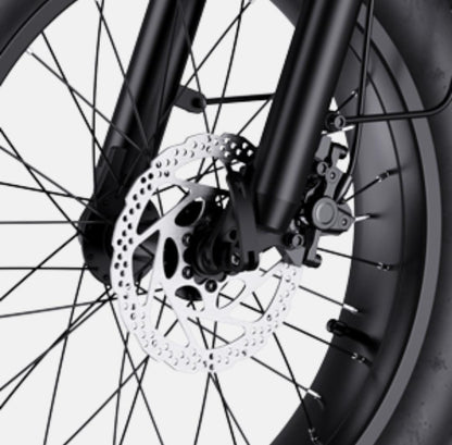WindHorse D3 hydraulic disc brake