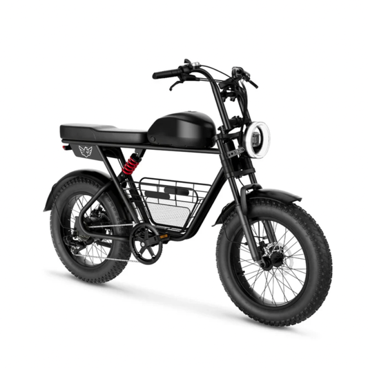 Windhorse D5 1000W electric bike black color with removable battery and fat tires front angle view.