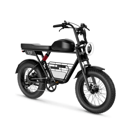 WindHorse D5 Fat Tires 7 Gears Off-Road Mountain E-Bike