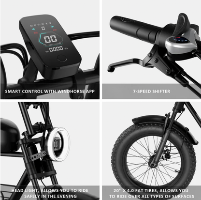 Windhorse D5 LCD display, Shimano 7-speed shifter, LED headlight and 20x4 inch fat tire feature highlights.