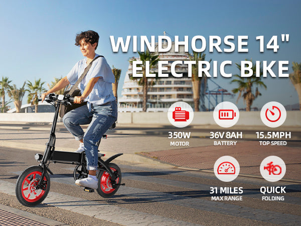 C19 Single Seater Foldable E-Bike with Pedals-GIGILHUB