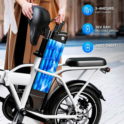 WindHorse W2B detachable 36V battery with easy charging