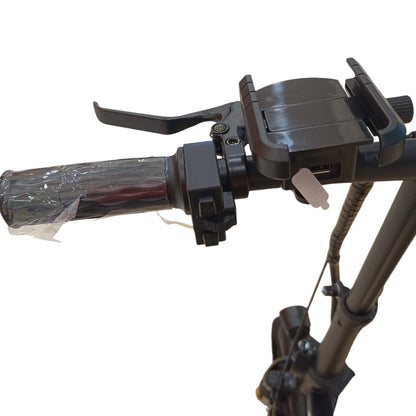 Two Seater Folding E-Bike with Pedals & Detachable Battery