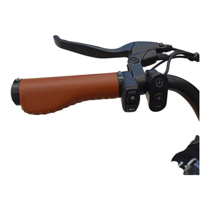 WindHorse F2 left handlebar control buttons