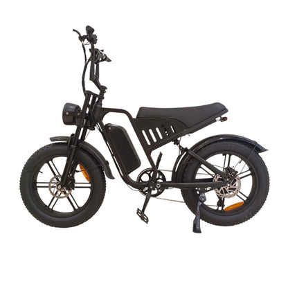 F6 Fat Tires Pedal Assisted Desert Mountain Off-Road E-Bike Side View