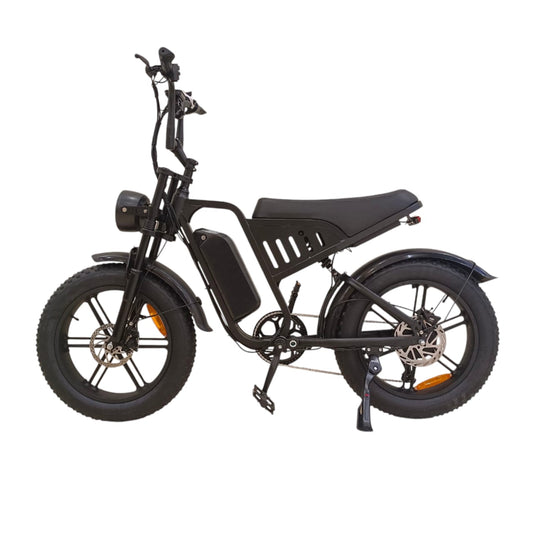 F6 Fat Tires Pedal Assisted Desert Mountain Off-Road E-Bike Side View