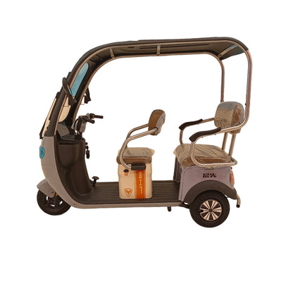 F7C Tri-Wheel Multi-Seater Family Buggy With Roof - RockFlock
