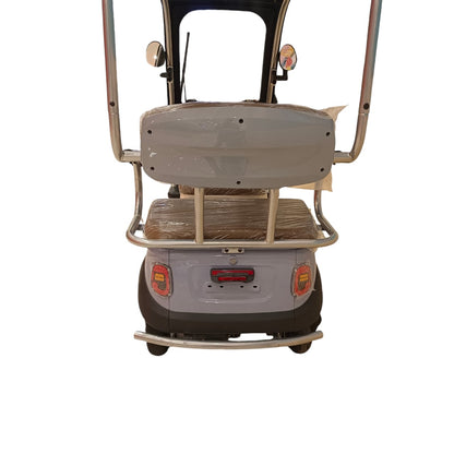 F7C Tri-Wheel Multi-Seater Family Buggy With Roof - RockFlock