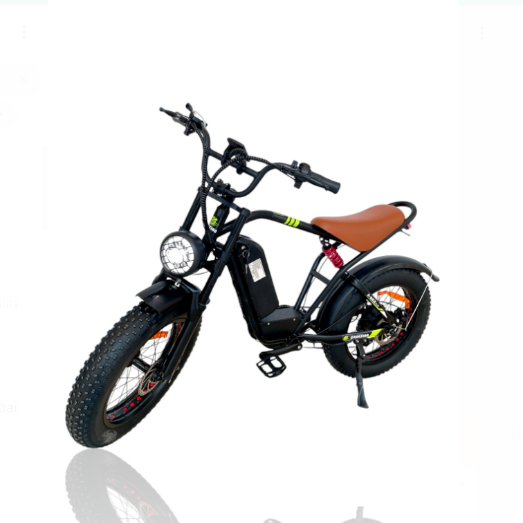 S1 Pedal Assisted Fat Tires E-Bike with 5 Speed Shimano Gears front three-quarter view featuring 2000W motor, detachable battery and 20x4 fat tires