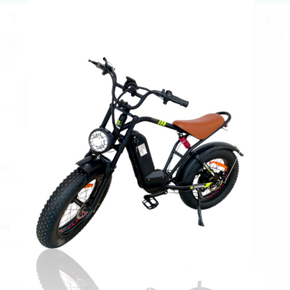 S1 Pedal Assisted Fat Tires E-Bike with 5 Speed Shimano Gears front three-quarter view featuring 2000W motor, detachable battery and 20x4 fat tires