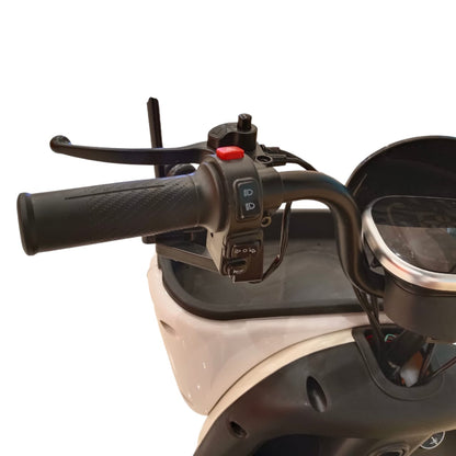 Close-up of left handlebar controls on V1 Tri-Wheel Two Seater E-Bike with Roof showing light, horn and indicator switches.