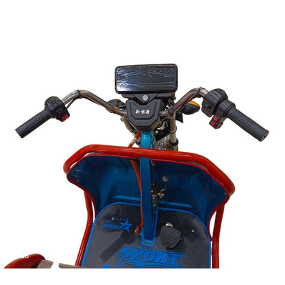 Handlebar controls and dashboard of 1.1 MTR Tri-Wheel Electric Cargo Bike with ergonomic riding position and easy operation