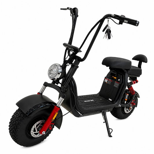 Winner Sky MD-3 Fat Tires Dual Seat Harley Electric Bike | Max Speed 55 Km/h |