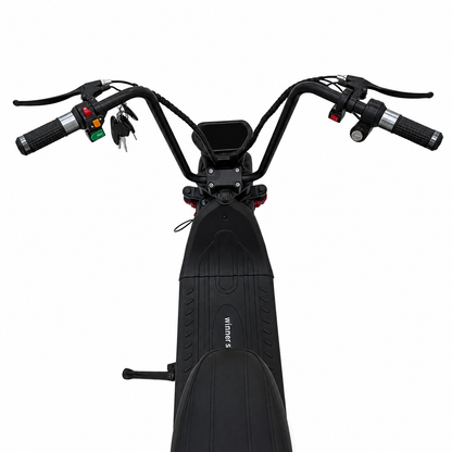 Winner Sky MD-3 Fat Tires Dual Seat Harley Electric Bike | Max Speed 55 Km/h |