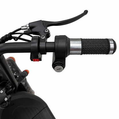 Winner Sky MD-3 Fat Tires Dual Seat Harley Electric Bike | Max Speed 55 Km/h |