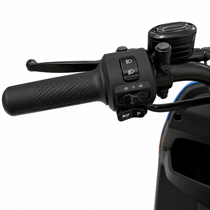 Left handlebar switchgear with horn, indicators and lighting controls.