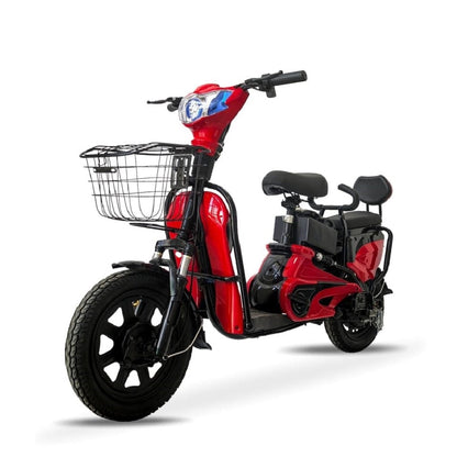 WindHorse M2 Two Seater Delivery Bike/E-Bike with Tubeless Tires