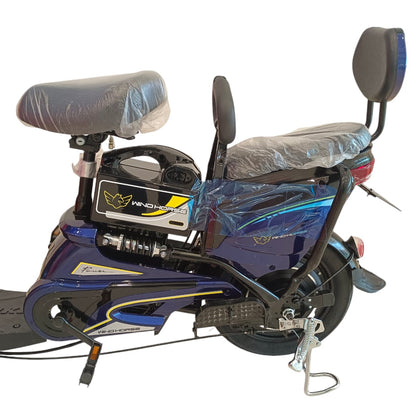 WindHorse M2 Two Seater Delivery Bike/E-Bike with Tubeless Tires