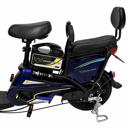 WindHorse M2 detachable 48V 12Ah battery compartment, rear suspension, passenger seat and brushless rear motor
