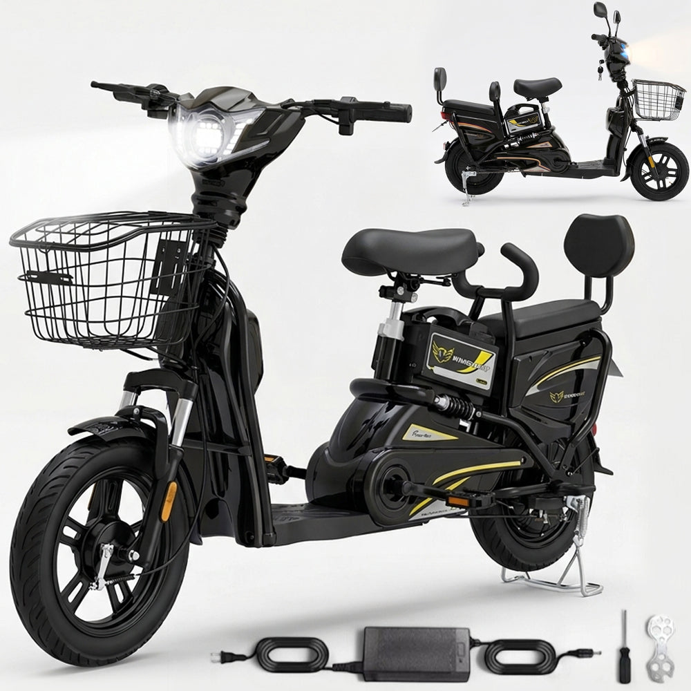 Windhorse M2 Dual Seater Electric Delivery Bike in UAE in Black Color angled view