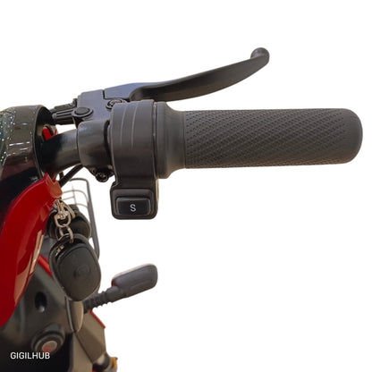 WindHorse M6 throttle grip and riding mode control