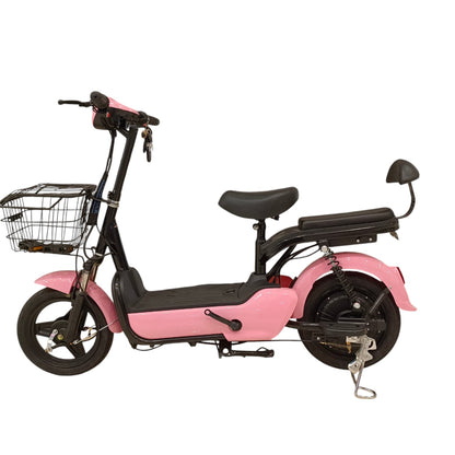 RockFlock W2 Two Seater Pedal Assisted E-Bike with Front Basket
