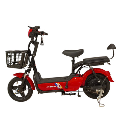 RockFlock W2 Two Seater Pedal Assisted E-Bike with Front Basket