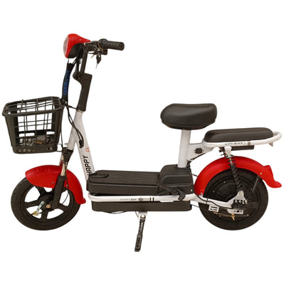 RockFlock W4 Two Seater Pedal Assisted E-Bike with Front Basket