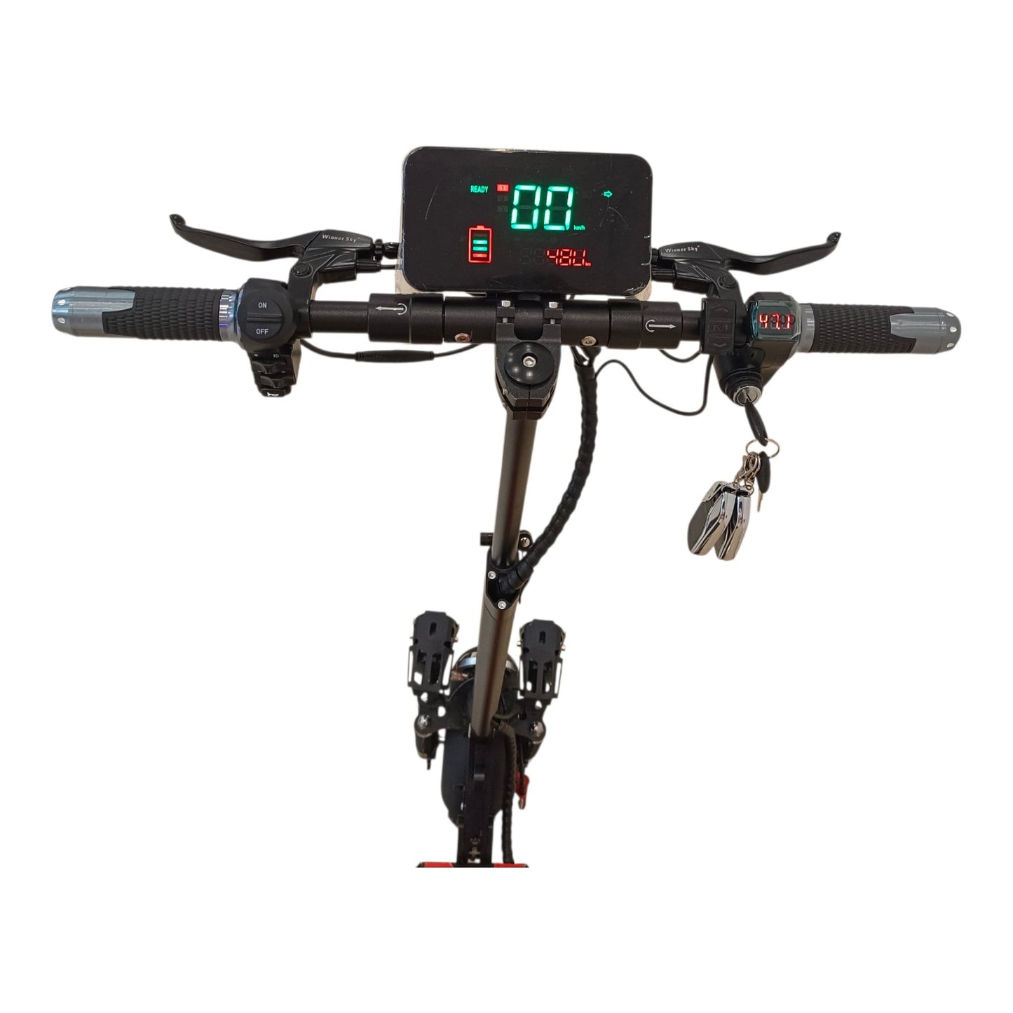 Display Screen