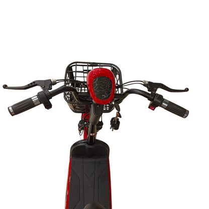 RockFlock W2 Two Seater Pedal Assisted E-Bike with Front Basket