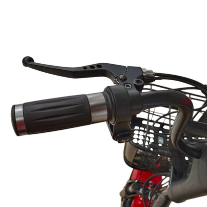 RockFlock W2 Two Seater Pedal Assisted E-Bike with Front Basket