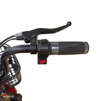 RockFlock W2 Two Seater Pedal Assisted E-Bike with Front Basket