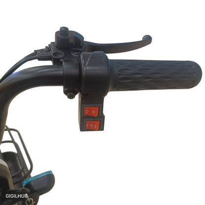 Right throttle and drive mode controls of F7B family mobility buggy