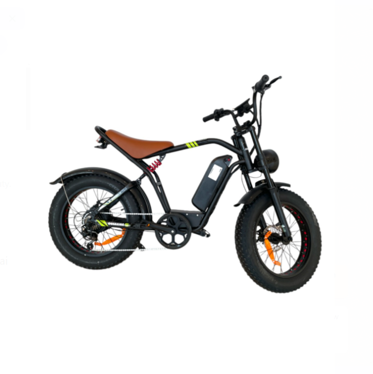 S1 Pedal Assisted Fat Tires E-Bike left side profile with Shimano 5-speed gears, removable battery and full alloy frame