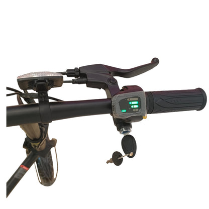 WindHorse W2A LCD display, throttle and ignition key controls