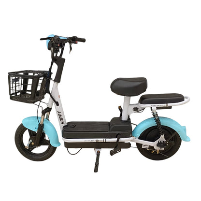 W4 Two Seater Pedal Assisted E-Bike