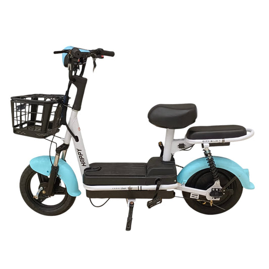 W4 Two Seater Pedal Assisted E-Bike