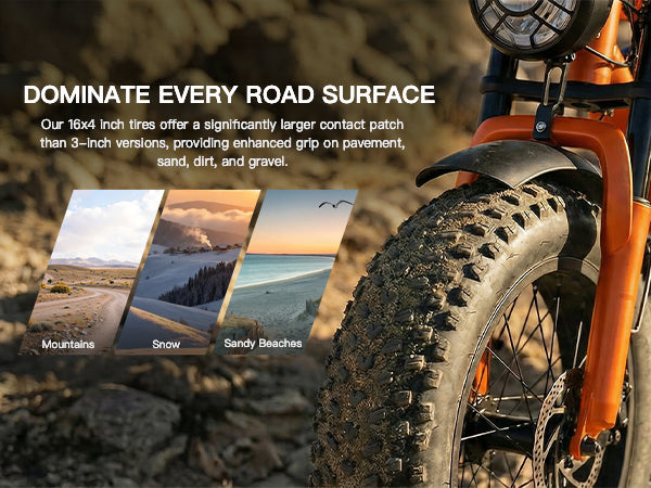 WindHorse V8 Mini 20 x 4 inch fat tire e-bike for mountain, snow, sand and multi-terrain riding